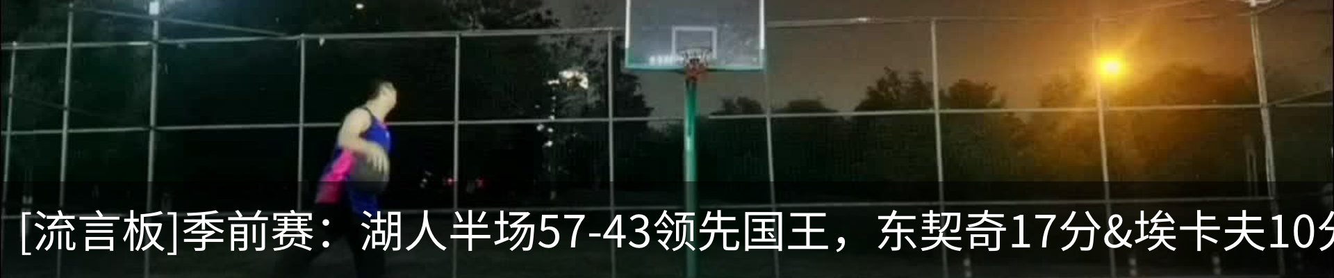 新闻动态